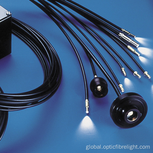 Cabinet Display Lighting Fiber optic display lighting for Museum Supplier